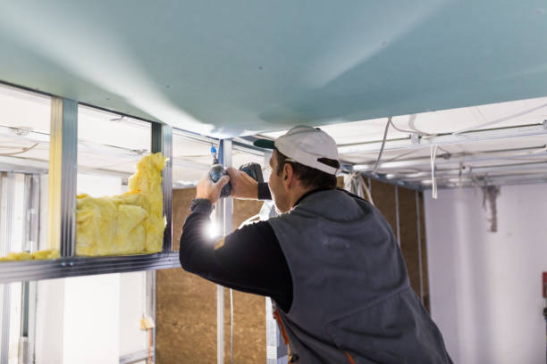 Insulation Repair Services in Southside, AR